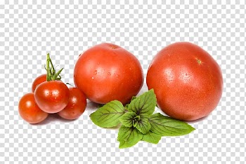 Vegetable Tomato Fruits et lxe9gumes Food, tomato transparent background PNG clipart