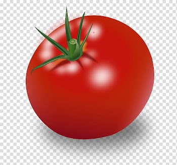 Vegetable Tomato Vegetarian cuisine Bell pepper , Tomato transparent background PNG clipart