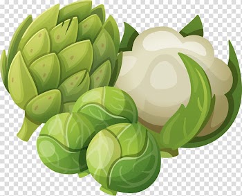 Vegetable, Turnips cauliflower material transparent background PNG clipart