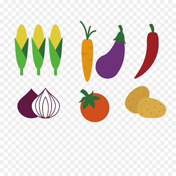 Vegetable Vector graphics Food Fruit Aubergines -  
