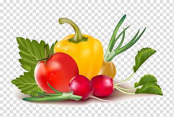 Vegetable , vegetable transparent background PNG clipart