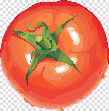 Vegetable Vegetarian cuisine Fruit Cherry tomato , vegetable transparent background PNG clipart