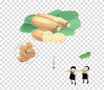 Vegetable Watercolor painting Lotus root, Watercolor vegetables transparent background PNG clipart