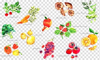 Vegetable Watercolor painting Paper Vegetarian cuisine, vegetable transparent background PNG clipart