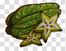 Vegetables and Fruit , star fruit illustration transparent background PNG clipart
