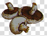Vegetables and Fruit , three brown mushrooms transparent background PNG clipart