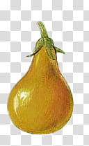 Vegetables , asian pear transparent background PNG clipart