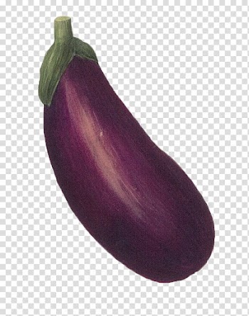Vegetables , eggplant illustration transparent background PNG clipart