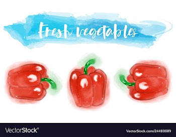 Vegetables food watercolor vector image