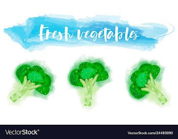 Vegetables food watercolor vector image