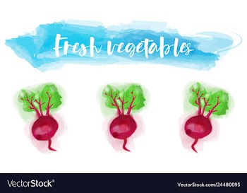Vegetables food watercolor vector image