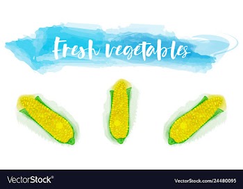 Vegetables food watercolor vector image