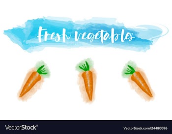 Vegetables food watercolor vector image