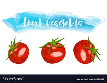 Vegetables food watercolor vector image