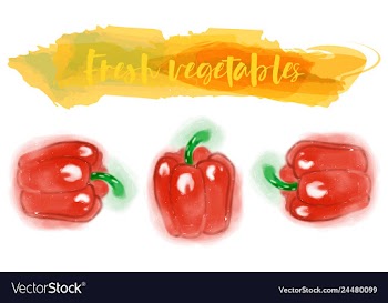 Vegetables food watercolor vector image