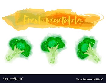 Vegetables food watercolor vector image