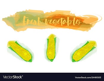 Vegetables food watercolor vector image