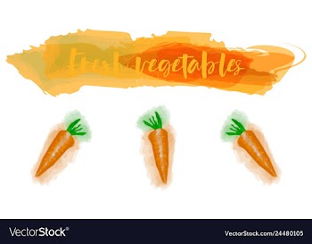 Vegetables food watercolor vector image