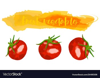 Vegetables food watercolor vector image