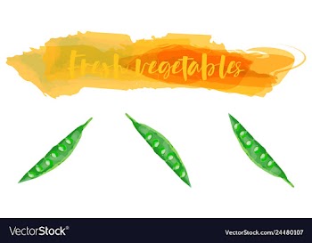 Vegetables food watercolor vector image