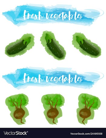 Vegetables food watercolor vector image