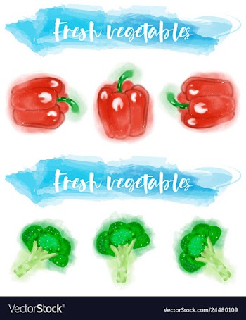 Vegetables food watercolor vector image