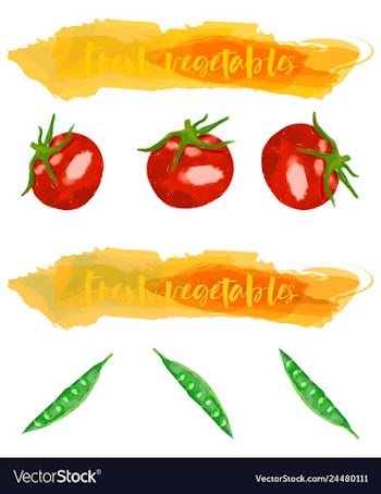 Vegetables food watercolor vector image