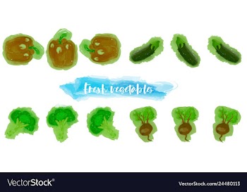 Vegetables food watercolor vector image