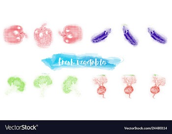 Vegetables food watercolor vector image