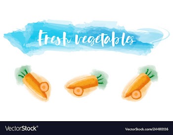 Vegetables food watercolor vector image