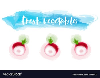 Vegetables food watercolor vector image