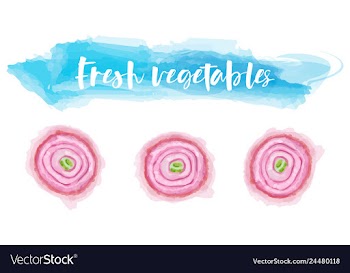 Vegetables food watercolor vector image