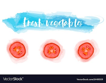 Vegetables food watercolor vector image