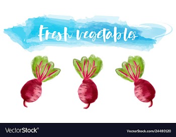 Vegetables food watercolor vector image