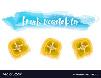 Vegetables food watercolor vector image