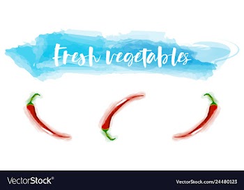 Vegetables food watercolor vector image