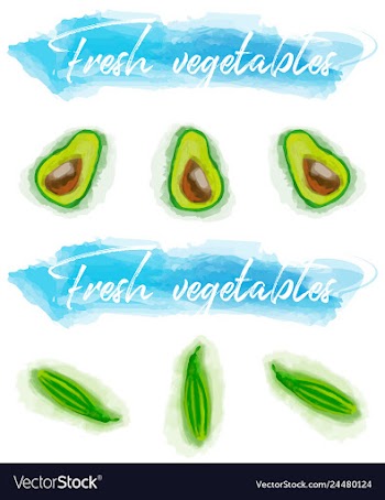 Vegetables food watercolor vector image
