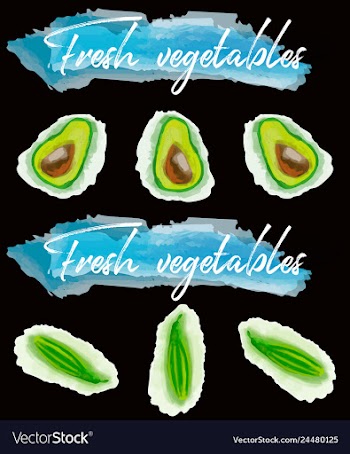 Vegetables food watercolor vector image