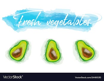 Vegetables food watercolor vector image