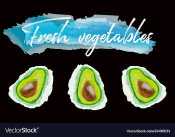 Vegetables food watercolor vector image