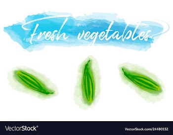 Vegetables food watercolor vector image