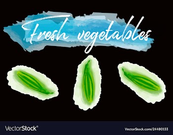 Vegetables food watercolor vector image