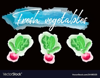 Vegetables food watercolor vector image