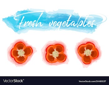 Vegetables food watercolor vector image