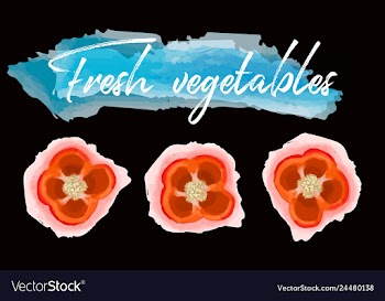 Vegetables food watercolor vector image