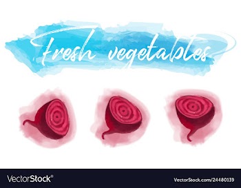 Vegetables food watercolor vector image