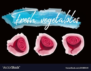 Vegetables food watercolor vector image