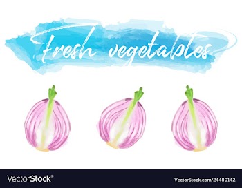 Vegetables food watercolor vector image
