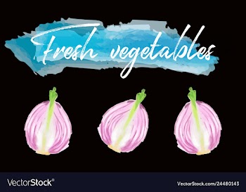 Vegetables food watercolor vector image