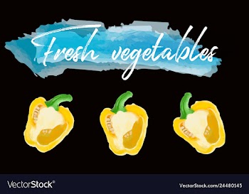 Vegetables food watercolor vector image